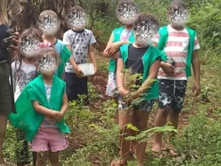 Agrofloresta e Segurança Alimentar